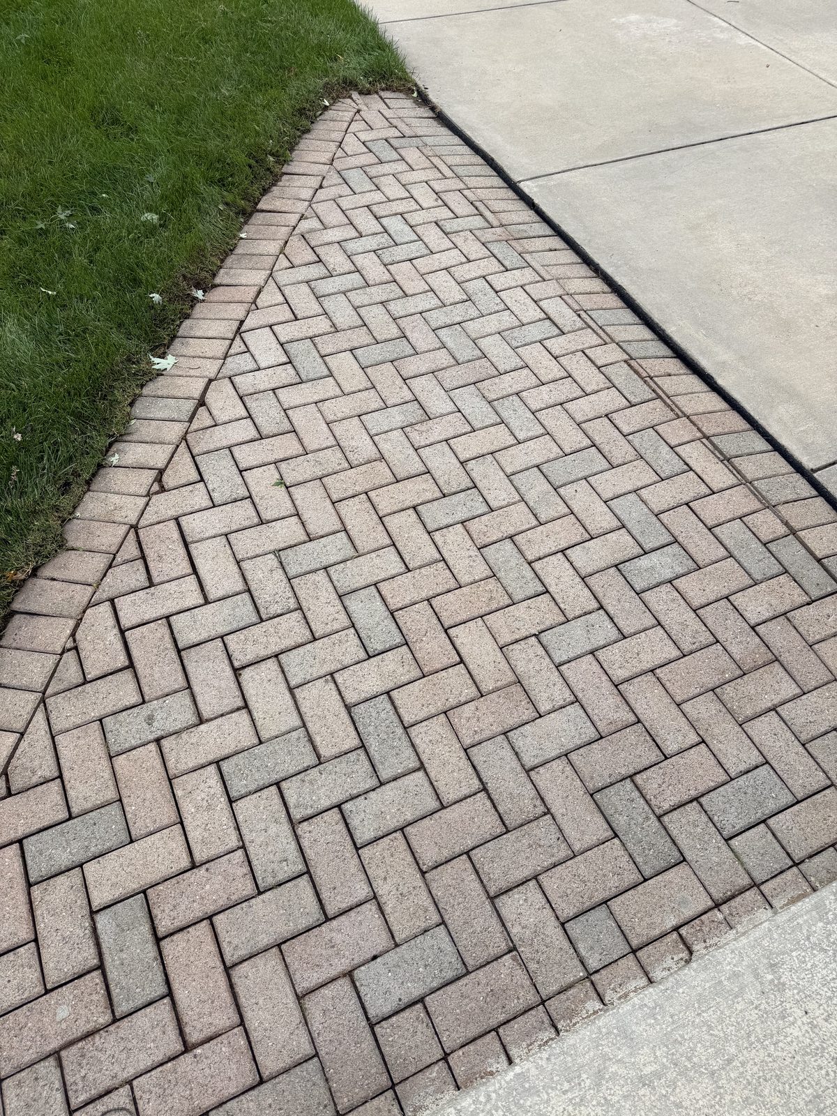 Freshly washed concrete paver walkway